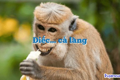 Điếc… cả làng 		