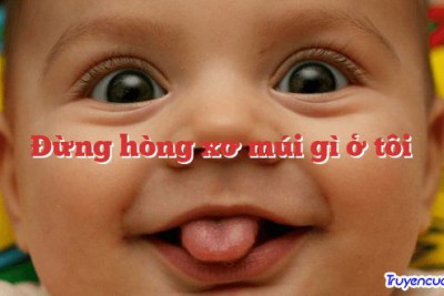 Đừng hòng xơ múi gì ở tôi 		