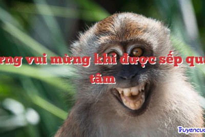 Đừng vui mừng khi được sếp quan tâm 		