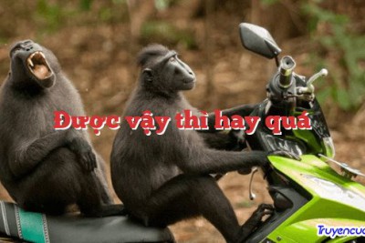 Được vậy thì hay quá 		