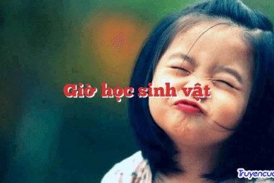 Giờ học sinh vật 		