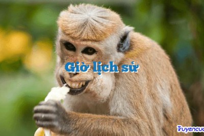 Giờ lịch sử 		