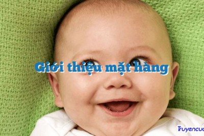 Giới thiệu mặt hàng 		