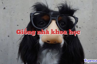 Giống nhà khoa học 		