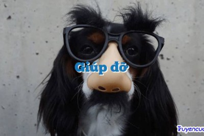 Giúp đỡ