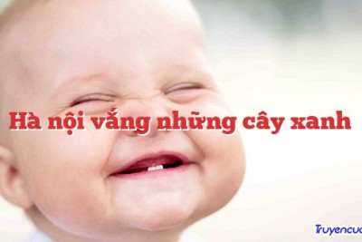 Hà nội vắng những cây xanh 		