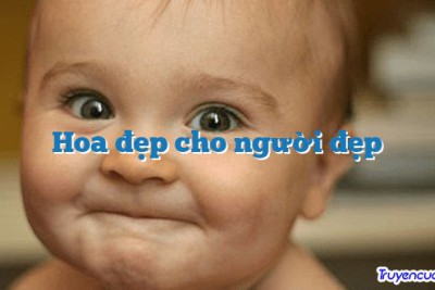 Hoa đẹp cho người đẹp 		