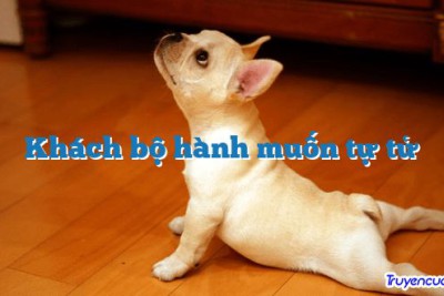 Khách bộ hành muốn tự tử 		