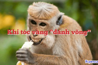 Khi tóc vàng "đánh võng" 		