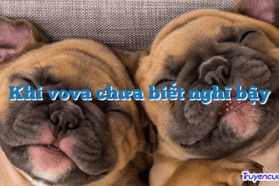 Khi vova chưa biết nghĩ bậy 		