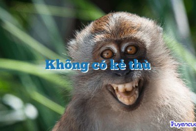 Không có kẻ thù 		