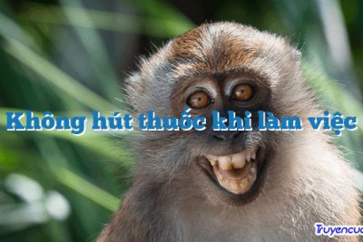 Không hút thuốc khi làm việc 		