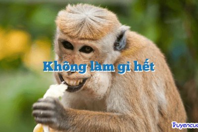 Không làm gì hết 		
