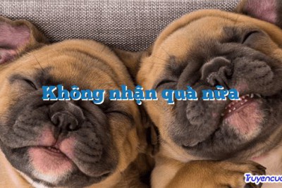 Không nhận quà nữa 		