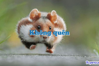 Không quên 		