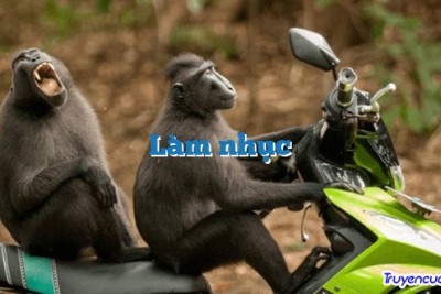 Làm nhục