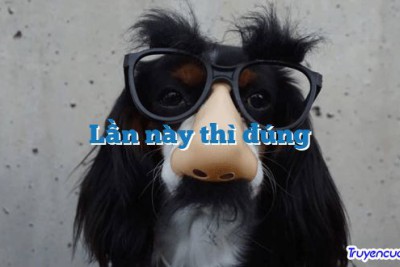 Lần này thì đúng 		