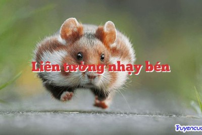 Liên tưởng nhạy bén 		