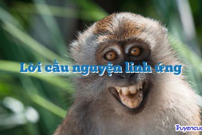 Lời cầu nguyện linh ứng 		