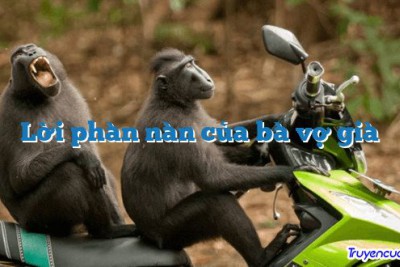 Lời phàn nàn của bà vợ già 		