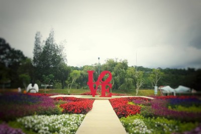 Những bài thơ ngắn hay về Đà Lạt lãng mạn và mộng mơ 		