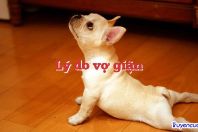 Lý do vợ giận 		