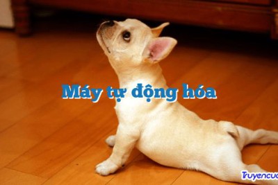 Máy tự động hóa