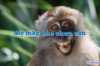 Mẹ mày bảo chưa cần 		