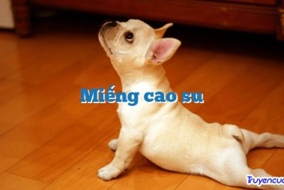 Miếng cao su