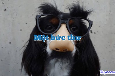 Một bức thư