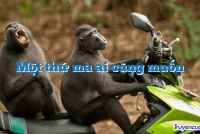 Một thứ mà ai cũng muốn 		