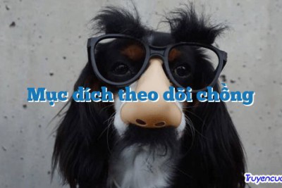 Mục đích theo dõi chồng 		