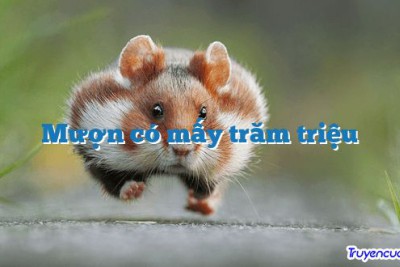 Mượn có mấy trăm triệu