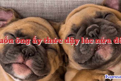 Muốn ông ấy thức dậy lúc nửa đêm