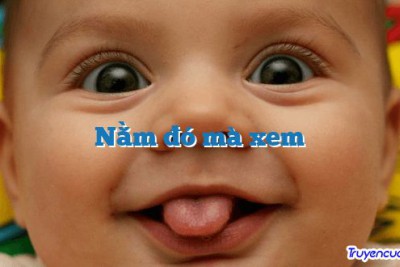 Nằm đó mà xem