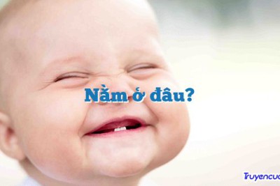 Nằm ở đâu? 		