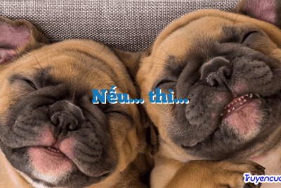 Nếu… thì…