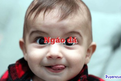 Ngáo đá