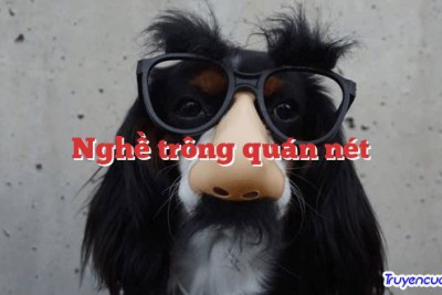 Nghề trông quán nét 		