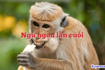 Ngủ ngon lần cuối 		