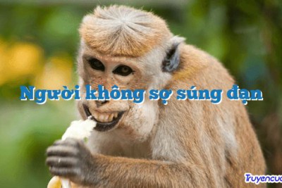 Người không sợ súng đạn