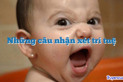 Những câu nhận xét trí tuệ
