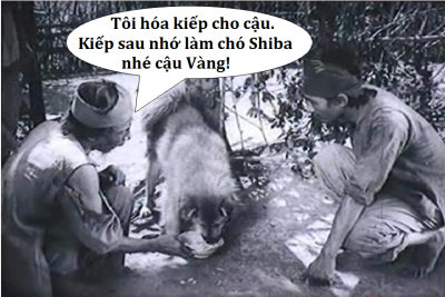 Ông giáo và con chó vàng 		