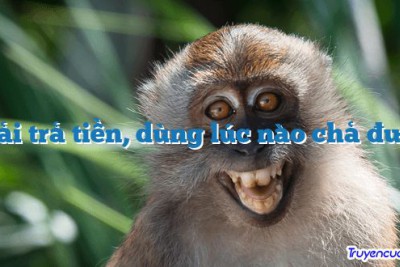 Phải trả tiền, dùng lúc nào chả được 		