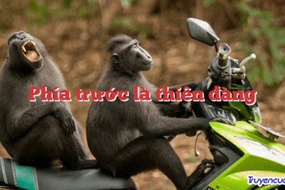 Phía trước là thiên đàng