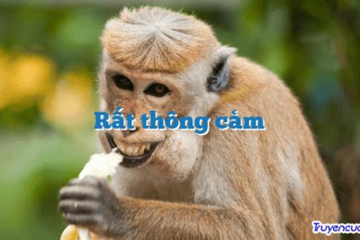 Rất thông cảm 		