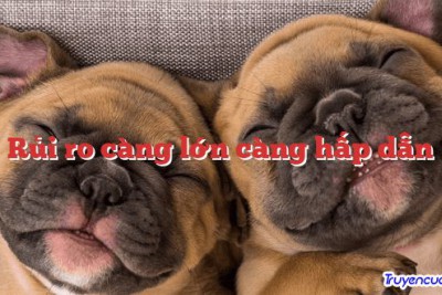 Rủi ro càng lớn càng hấp dẫn 		