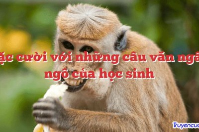 Sặc cười với những câu văn ngây ngô của học sinh 		