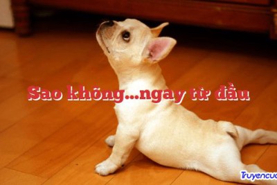 Sao không…ngay từ đầu
