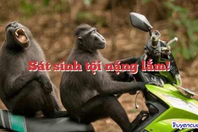 Sát sinh tội nặng lắm! 		